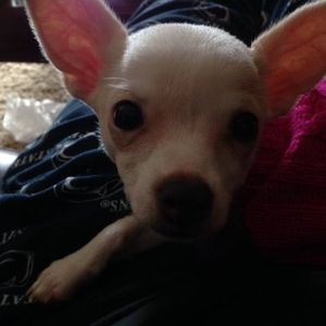 Meet your Posher, Matt